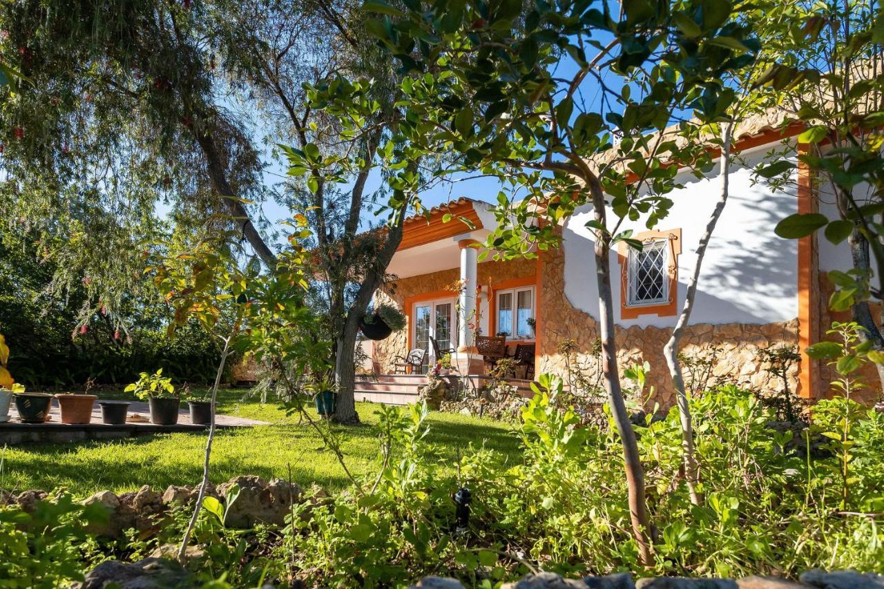 אלבופיירה Villa V4 Maximo מראה חיצוני תמונה
